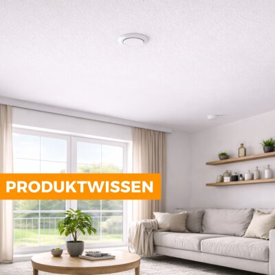 Was ist ein Tellerventil? Unterschiede zwischen Zu- und Abluft einfach erklärt - Tellerventil erklärt – Unterschied Zuluft &amp; Abluft | LTH-Hanse