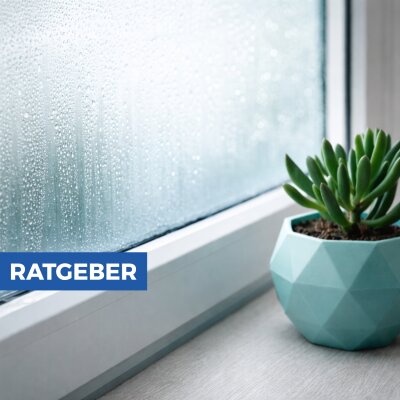 Richtig lüften im Winter – warum es wichtiger ist, als viele denken - Richtig lüften im Winter – Tipps gegen Feuchtigkeit &amp; Schimmel | LTH-Hanse