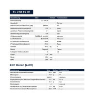 Ruck ETALINE EL 250 E2 01 Rohrventilator DN 250 – Diagonalventilator mit einphasigem AC-Motor